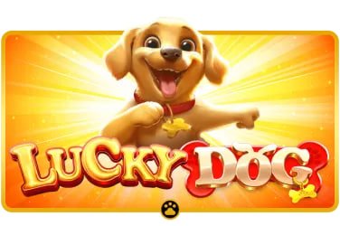 sulap777 game library featuring Aviator, Sweet Bonanza, Gates of Olympus, Fortune Tiger slots